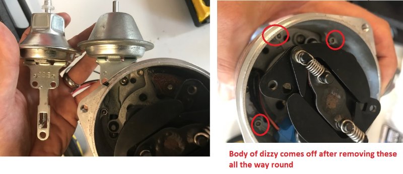 dizzy1_2.jpg