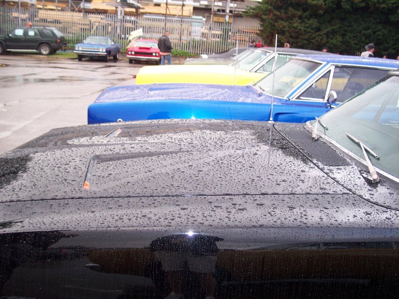 100_0318 - Copy.JPG