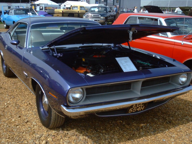 IMAG0045.JPG
