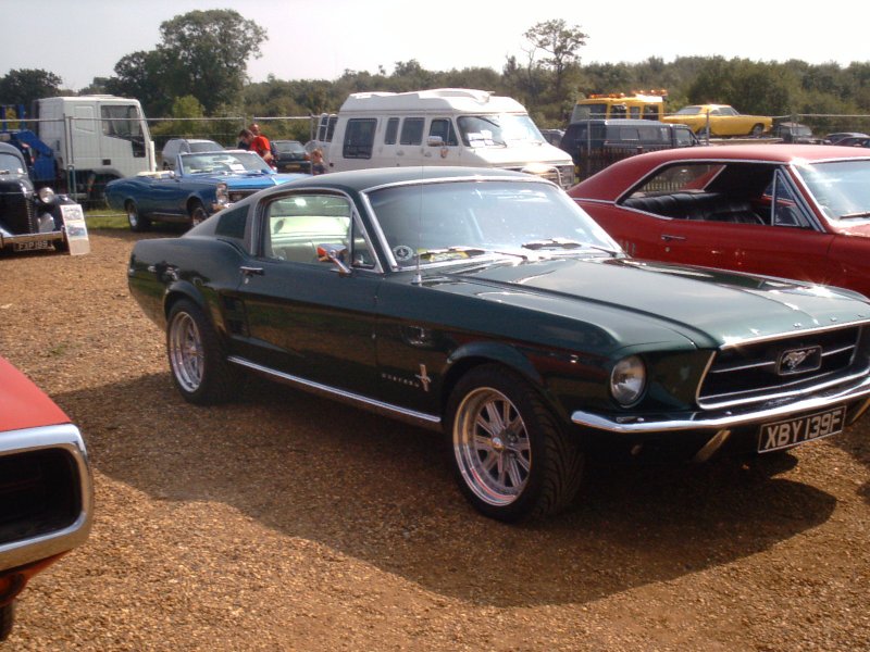 IMAG0052.JPG