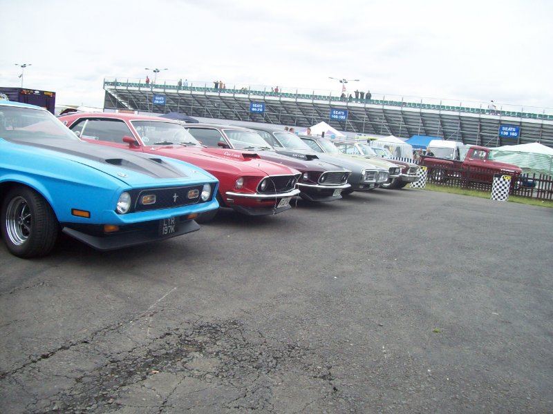 102_9564 - Copy.JPG