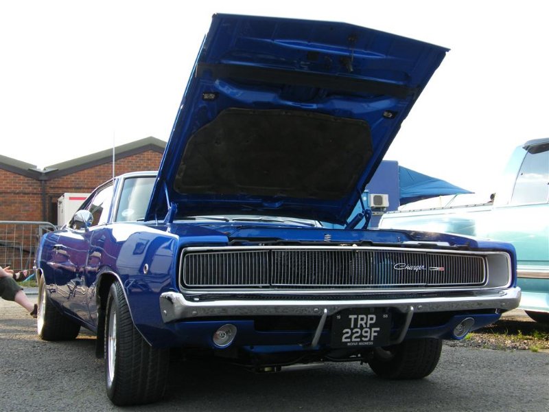 Picture 658 (Large).jpg