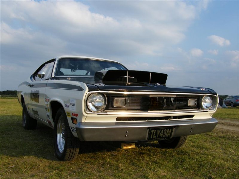 Picture 694 (Large).jpg