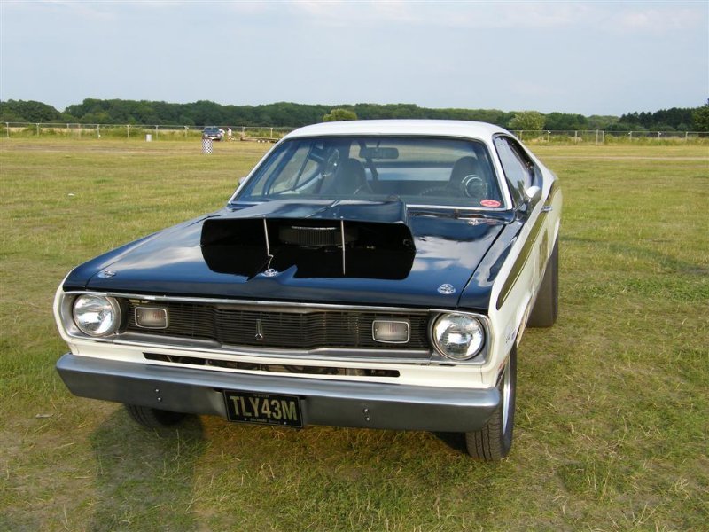 Picture 697 (Large).jpg