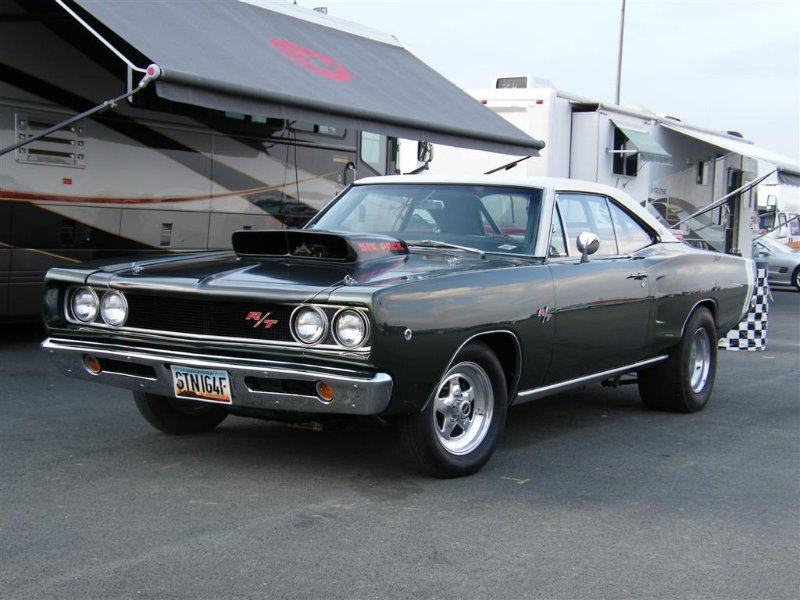 Picture 711 (Large).jpg