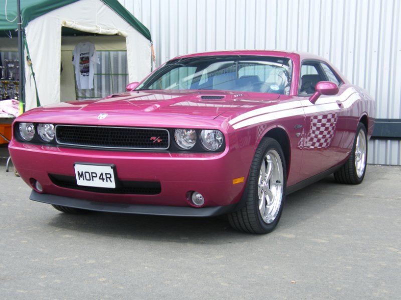 Picture 876.jpg