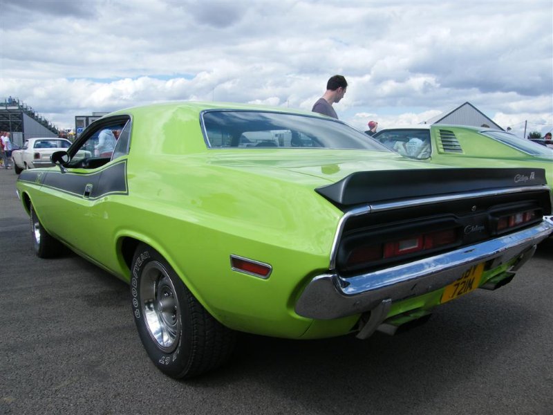 Picture 887 (Large).jpg