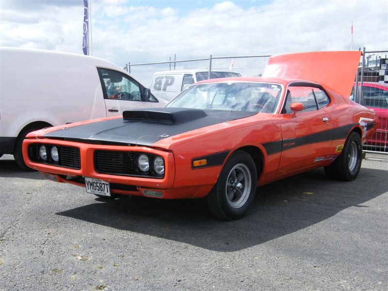 Picture 893 (Large).jpg