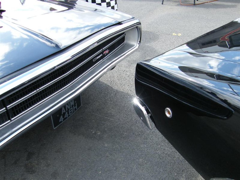 Picture 977 (Large).jpg