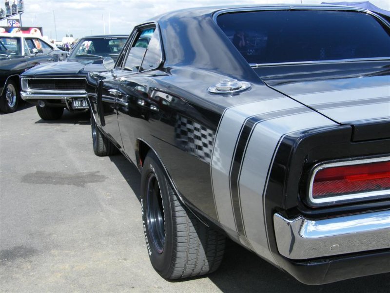 Picture 987 (Large).jpg