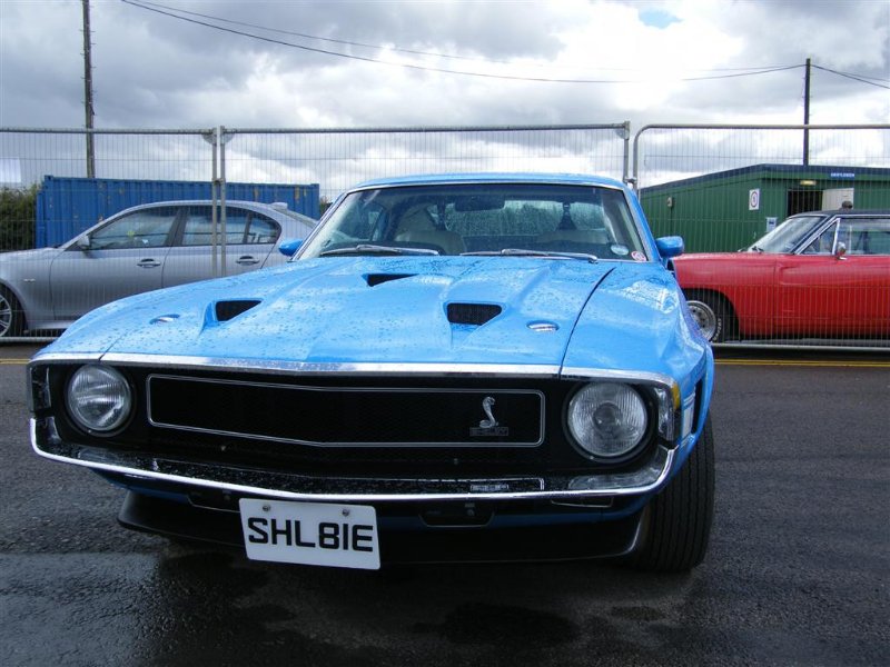 Picture 1113 (Large).jpg
