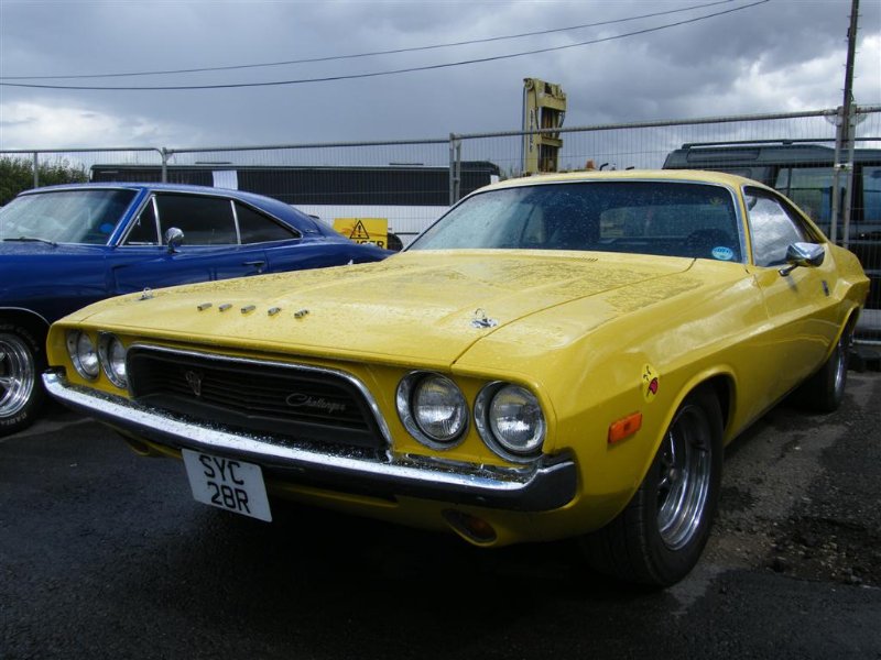 Picture 1117 (Large).jpg