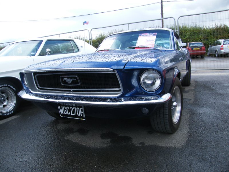Picture 1122.jpg