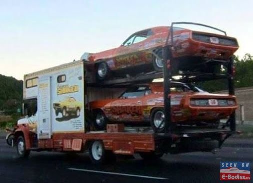 SHAKER-Cuda's.JPG