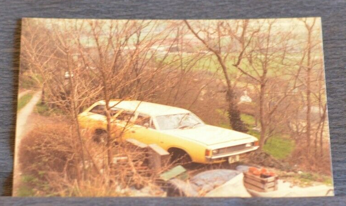 VH Valiant Estate - HOL 856L - Dead - Photo sold on eBay 21.04.2020.png