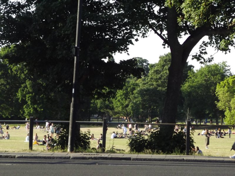 DSCF7231.JPG