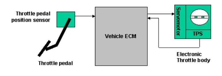 ecm.JPG