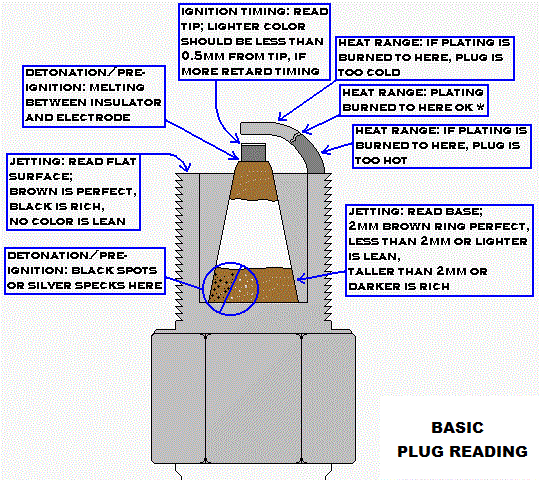 Basic_Plug_Reading.gif