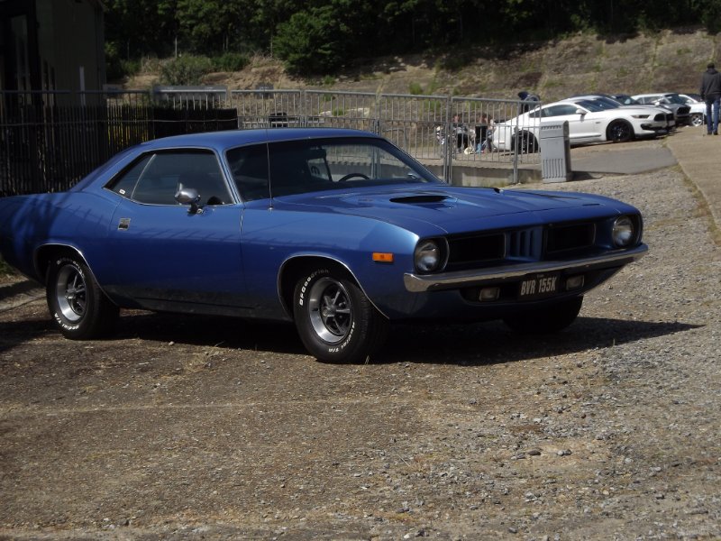 DSCF7851.JPG