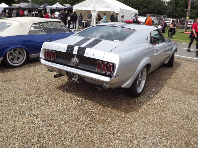 DSCF7903.JPG