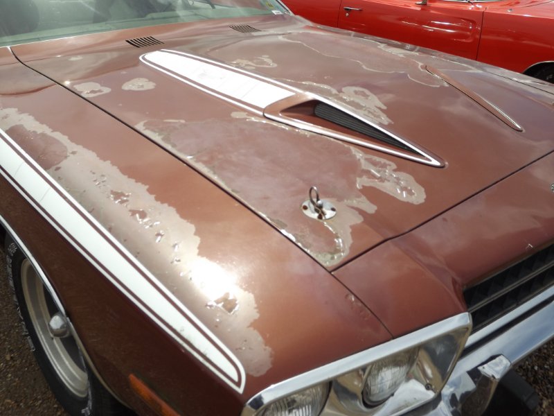 DSCF7908.JPG