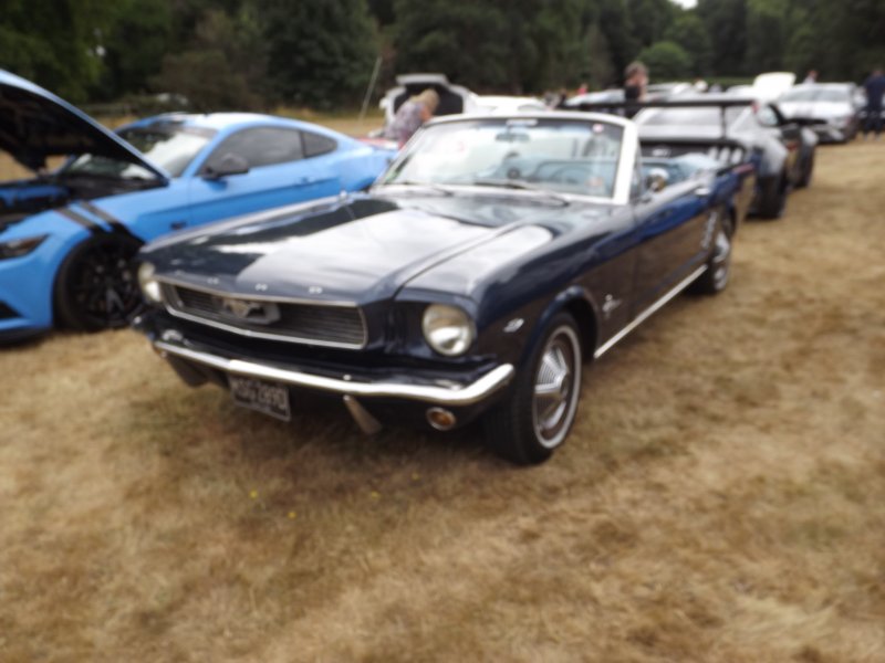 DSCF9260.JPG