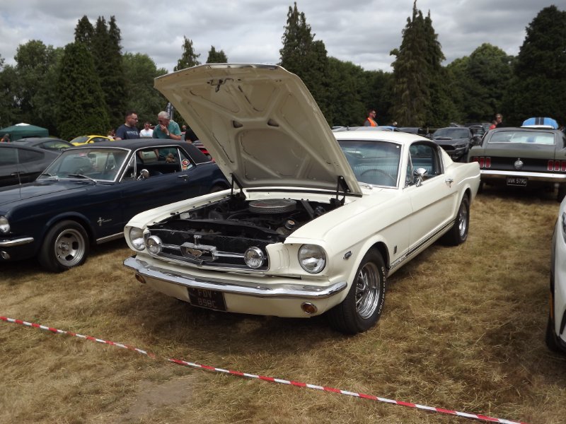 DSCF9281.JPG