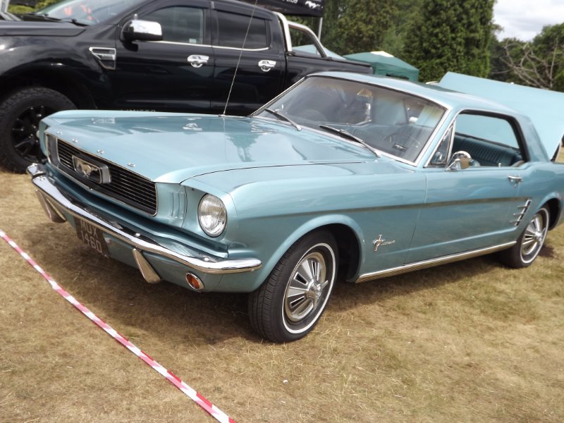 DSCF9290.JPG