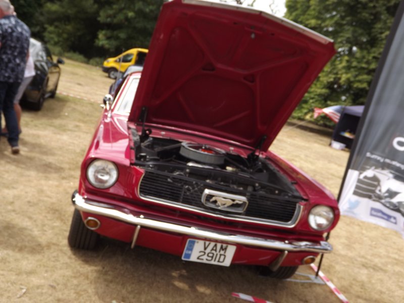 DSCF9291.JPG