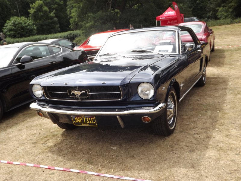 DSCF9294.JPG