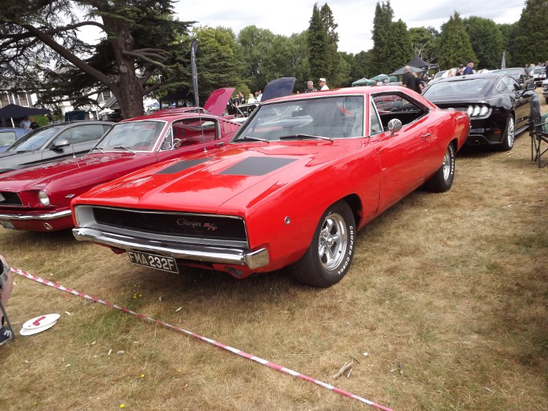 DSCF9305.JPG