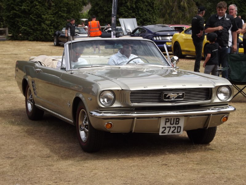 DSCF9329.JPG