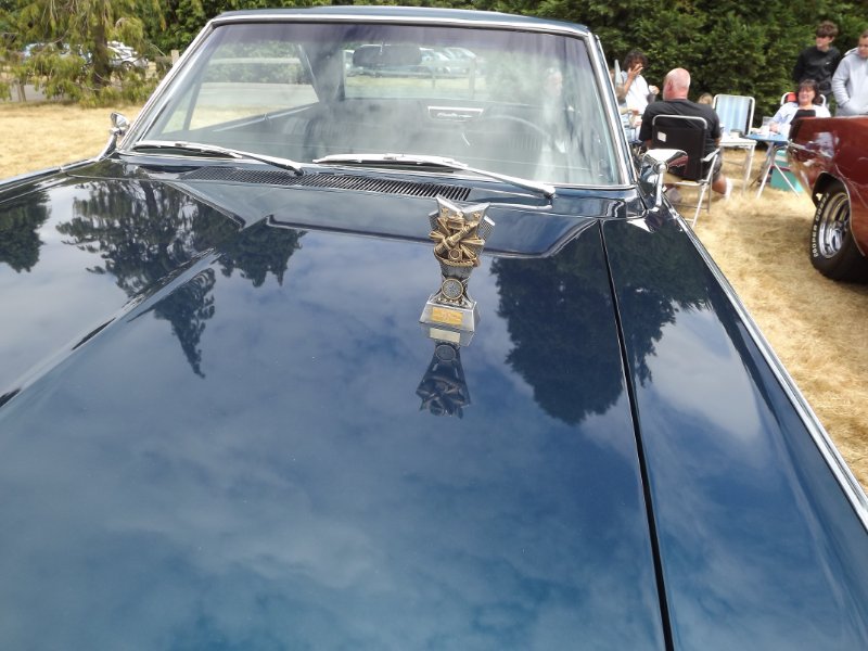 DSCF9339.JPG