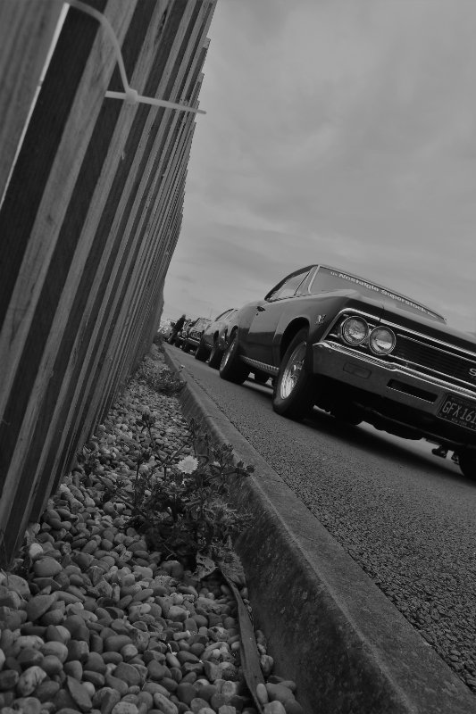 DSC_2953.JPG