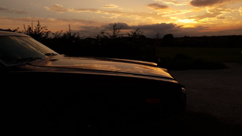 20230810_202436.jpg