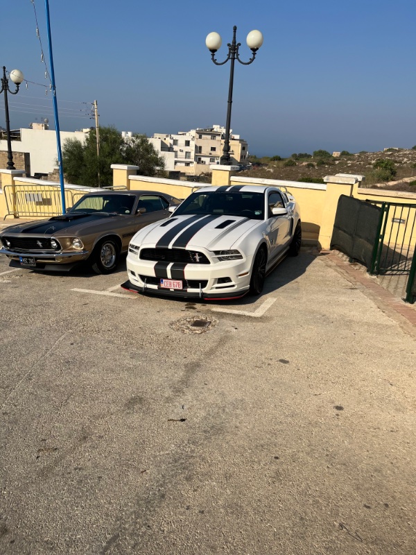 IMG_1295.jpeg