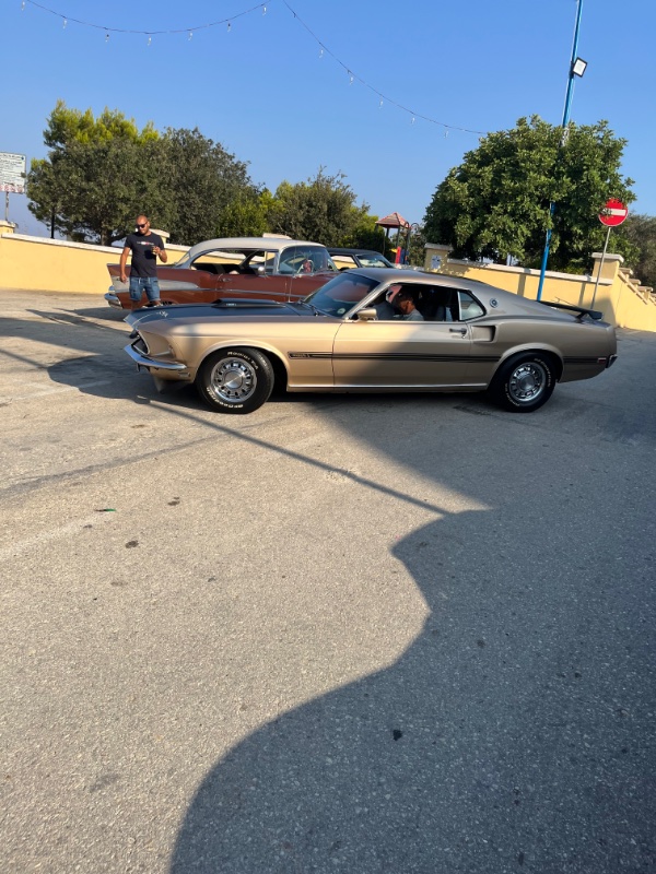 IMG_1286.jpeg