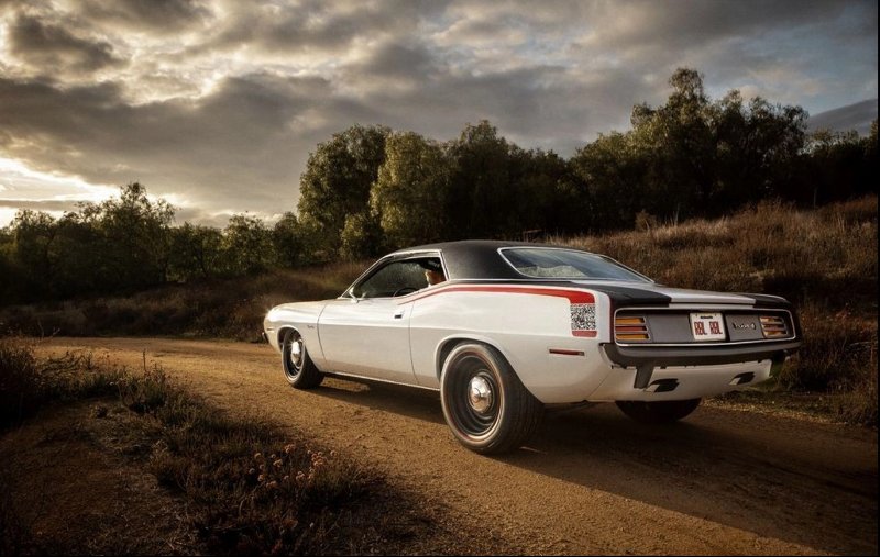 McDonalds Cuda2.jpg