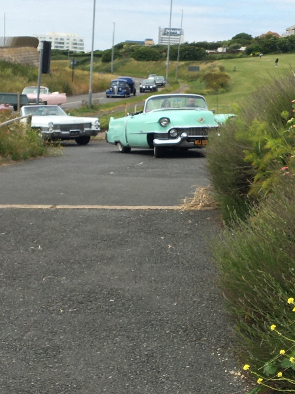 2C807ED3-86D6-411F-85DC-67458F0E577B.jpeg