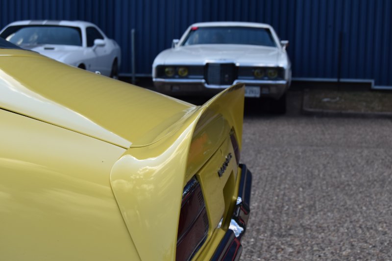 DSC_1517.JPG