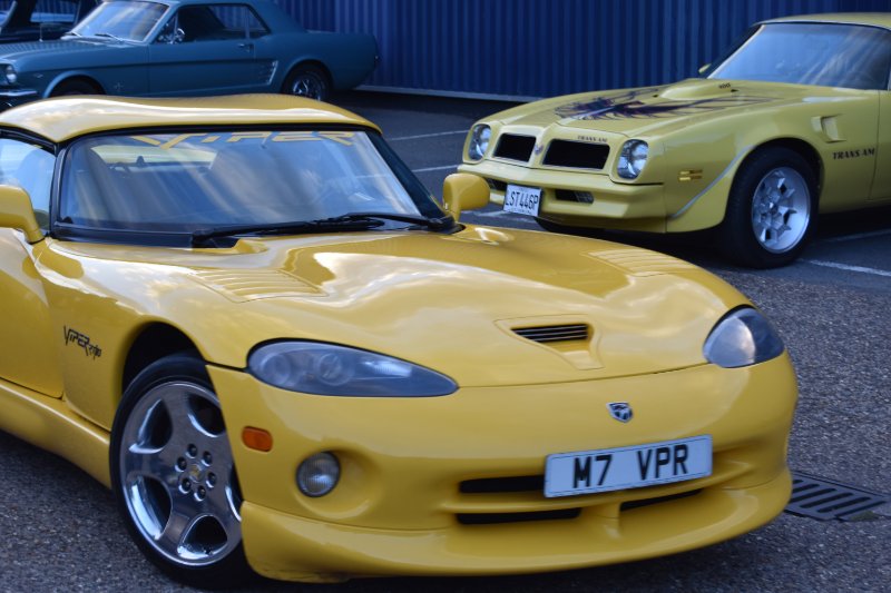 DSC_1568.JPG