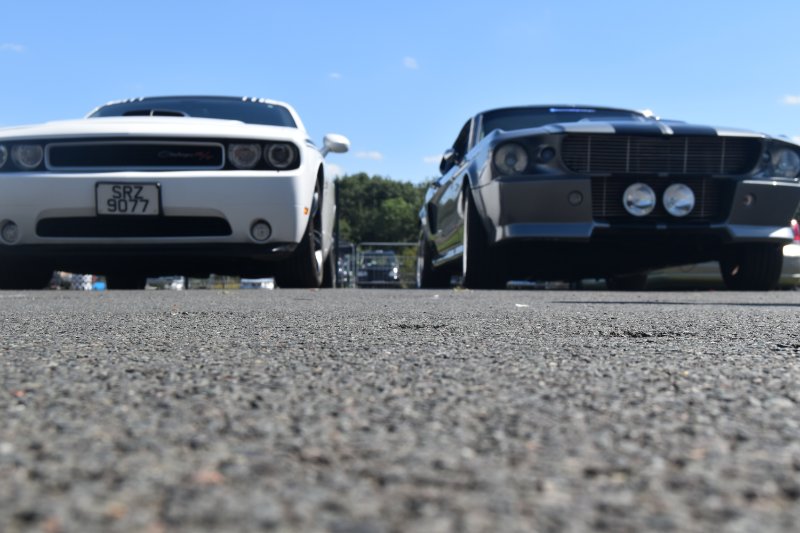 DSC_1913.JPG