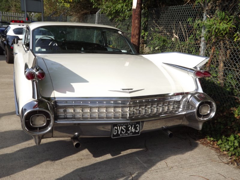 DSCF4988.JPG