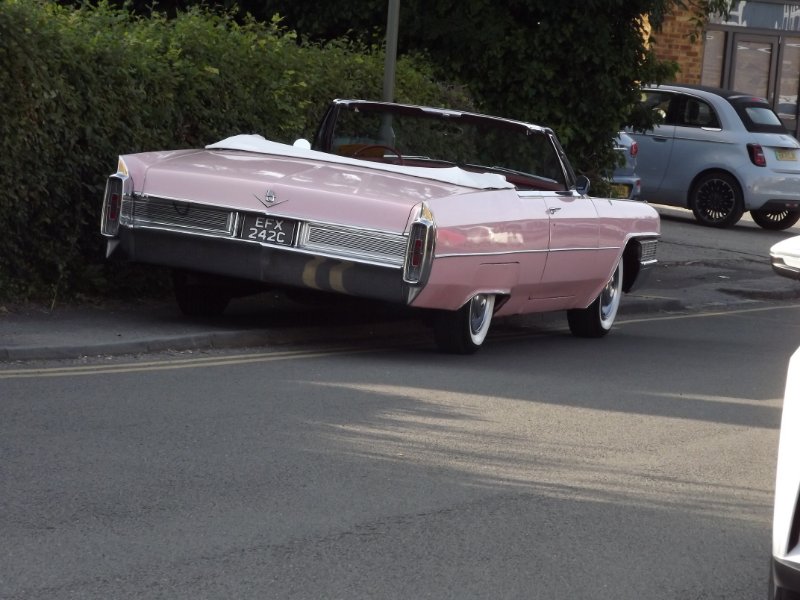 DSCF5046.JPG