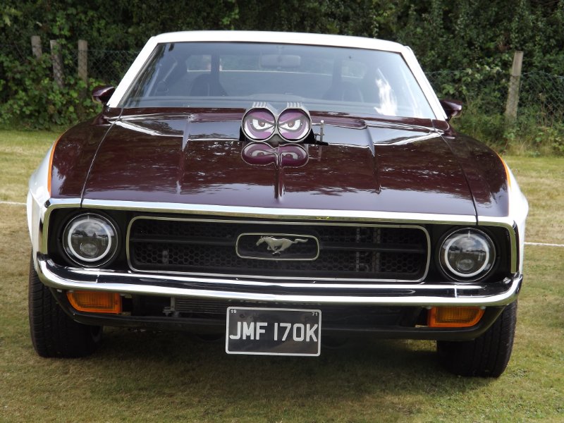 DSCF5176.JPG