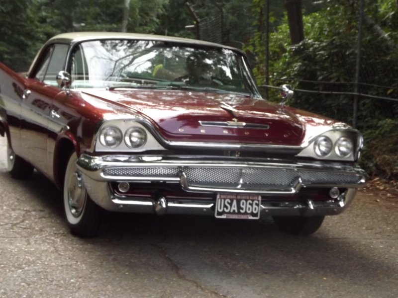 DSCF5246.JPG