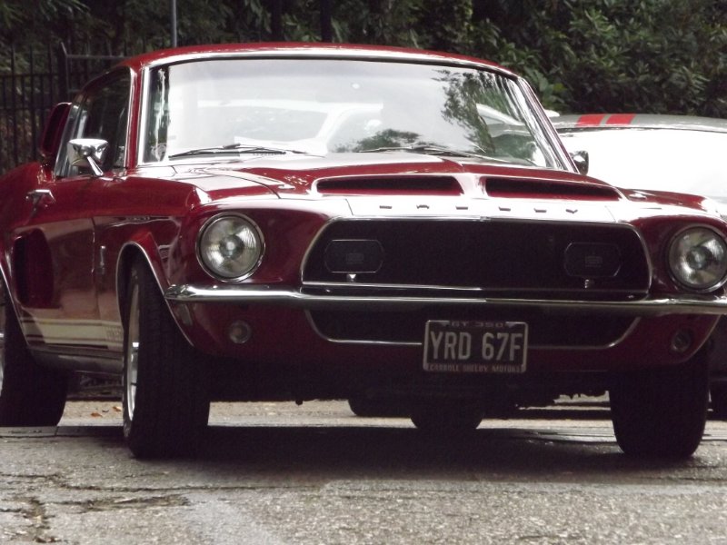 DSCF5252.JPG