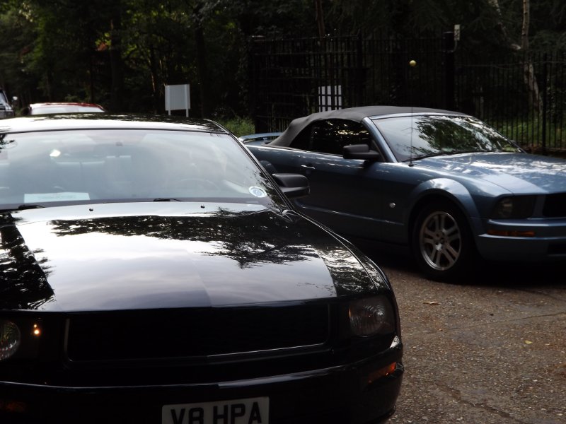 DSCF5291.JPG