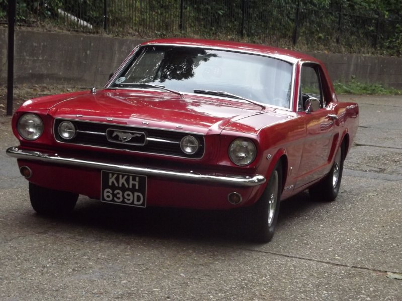 DSCF5306.JPG