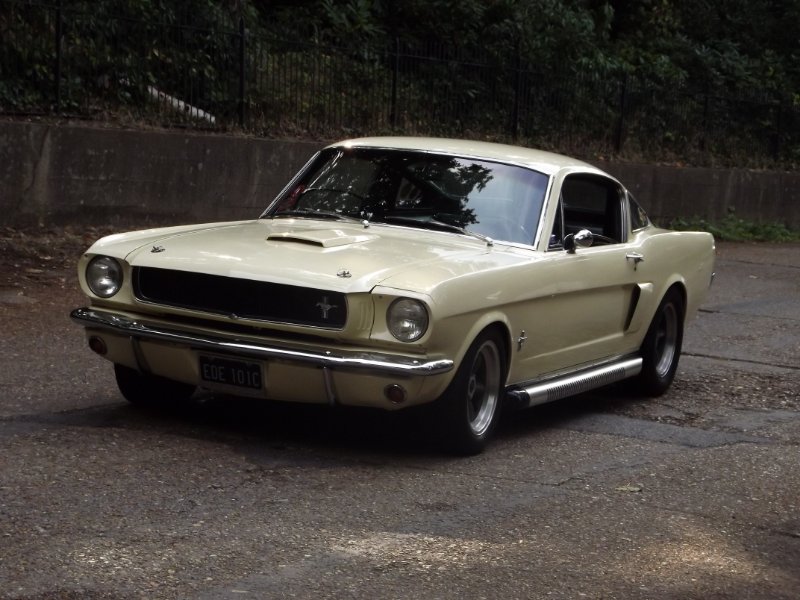 DSCF5312.JPG